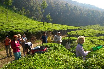 Kerala Cycle, Trek & Houseboat Tour