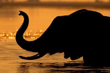 Chobe Sunset Cruise From Victoria Falls