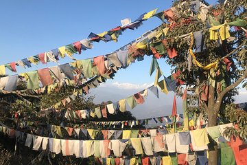 Phulchowki - Day Hiking from Kathmandu