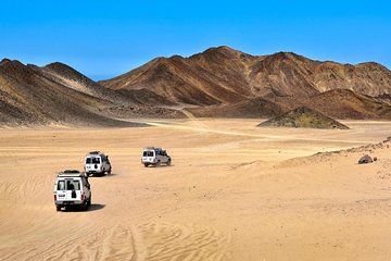 Super Desert Safari (4WD, Quad Bike, Camel Ride, BBQ Dinner & Drinks) 