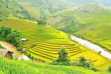 Amazing Sapa Hiking & Sightseeing