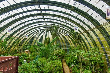 Full Day to Selvatura Monteverde Cloud Forest from Guanacaste