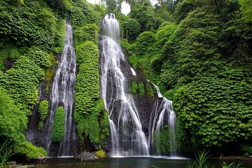 Bali Best Waterfalls Tour : Sekumpul and Banyumala
