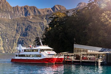 Milford Sound Coach, Cruise and Underwater Observatory with lunch ex Te Anau