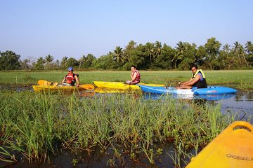 Kayaking on Sal Backwaters - Goa