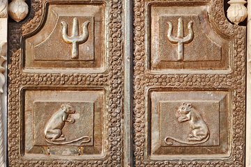 Karni Mata Temple (A Unique Rat Temple) Near Bikaner