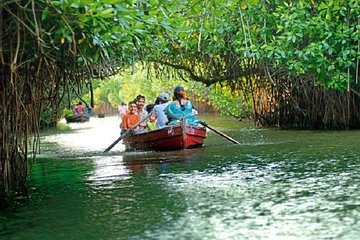 Pichavaram Mangrove & Nataraja Temple Chidambaram from Pondicherry with lunch