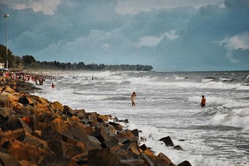 Kerala Sea Food Trail: An Excursion To Cherai Beach With Seafood Lunch