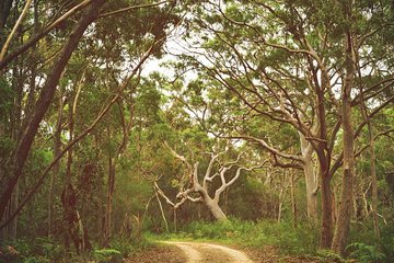 Day Trip To Cronulla & The Royal National Park