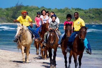 Horseback Ride n Swim and Green Grotto Adventure Tour from Falmouth