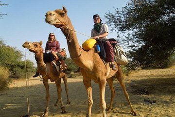 Private Chandigarh Day Trip from New Delhi 