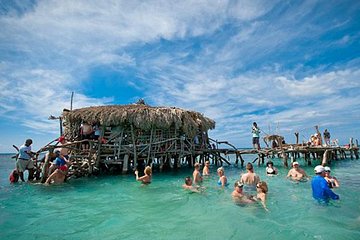 Private YS Falls, Pelican Bar, Horseback Ride & Swim Combo Tour with Lunch