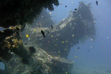 2 PADI Certified Dives at Tulamben from Bali