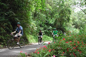 Original Blue Mountain Bicycle Tour from Falmouth