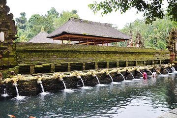 Ubud Highlight Tour with Waterfalls 