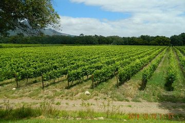 African Story Wine Tours in the Cape Winelands