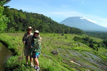 Bali Trekking Tour Including Tirta Gangga and Virgin Beach