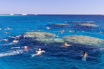 Snorkeling Day tour by boat to Ras Muhammad and the white Island