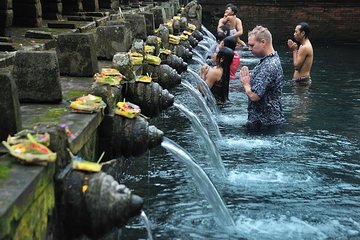 Bali Holy Bathing Ritual and Ubud Highlights tour