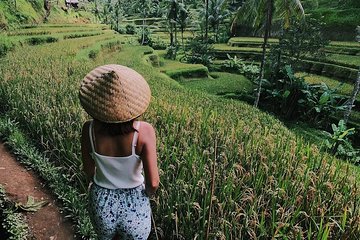 Highlights of Ubud: Nature, Rice Terrace, Waterfall, Temple and more