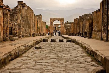 Pompeii Half-Day With Guide from Naples