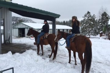 Sierra Histroric Tour & Horseback Riding from Reno