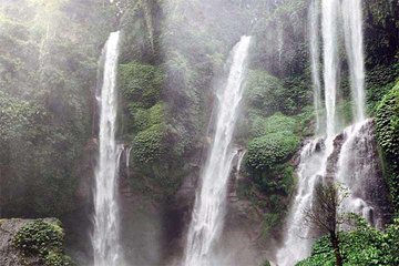 Sekumpul Waterfall Trekking