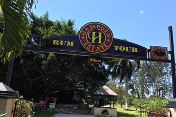 Hampden Estate Rum Tour and Lunch from Montego Bay