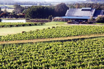 Hunter Valley Private Wine Tasting Tour from Sydney