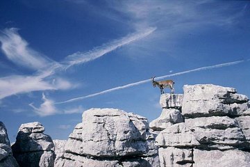 Private Hiking Tour to El Torcal from Malaga