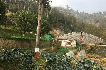 Permaculture Organic Farm Tour in Patlekhet from Kathmandu Nepal