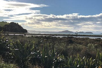 Beautiful Pohutukawa Coast - Half Day Private Tour