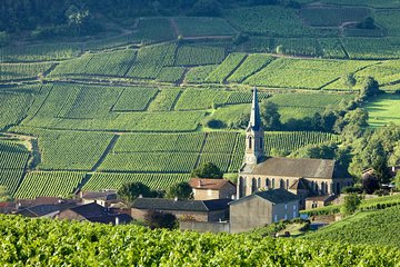 BURGUNDY : Unique Wine Tour from PARIS (Day-trip by TGV - High-speed train)