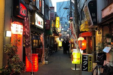 Private Tokyo Food Tour - Retro Akabane Izakaya Experience