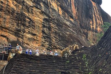 Sigiriya Dambulla Day Tour From Marawila