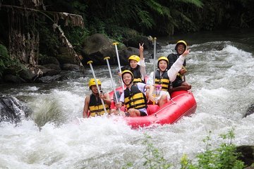 Ubud White Water Rafting Adventure 