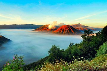 Bromo Tour Package: Midnight Bromo Open Trip from Batu