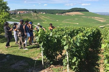 From Paris full day private tour to the Champagne region 