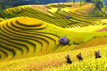 2 Days 1 night Sapa Tour from Hanoi by Limousine