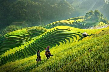 3 Days Sapa Tour with Night Train from Hanoi