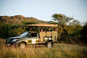 Full Day Ultimate Pilanesberg National Park Safari from Johannesburg or Pretoria