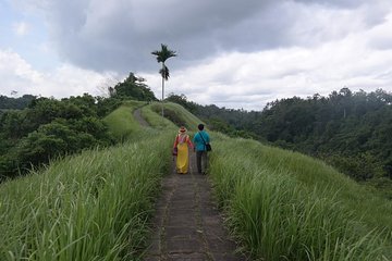 Ubud Experience