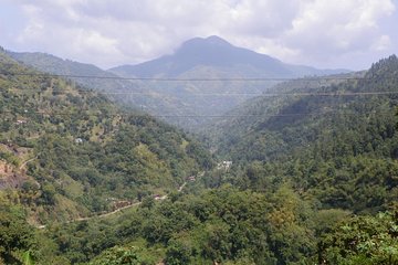 Blue Mountain Tour with Hotel Transportation