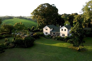 Private Day Trip to Kiambethu Tea Farm in Limuru from Nairobi