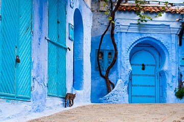 Private Day Trip from Tangier to Chefchaouen