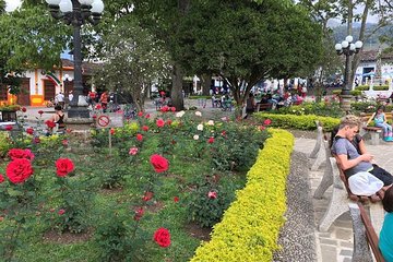 Coffee Plantation in Jardin and City sightseeing Tour