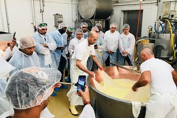 Bologna Food Experience: Factory tours & Family-Style Lunch