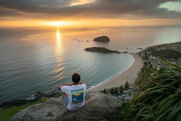 Tauranga Shore Excursion: Small-Group Bay of Plenty and Tauranga Tour