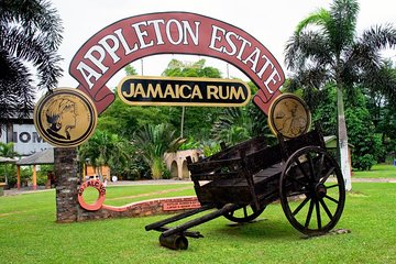 Round-Trip Shuttle Transportation to Appleton Estate Rum & YS Falls