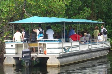 Black River Safari Tour from Montego Bay